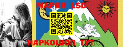 винт Нарткала