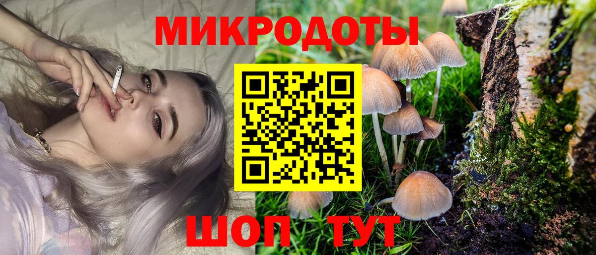 Псилоцибиновые грибы Psilocybine cubensis  Вход с VPN  Псилоцибиновые грибы Psilocybine cubensis  Асбест 